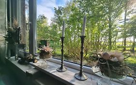 Wohlfühlurlaub auf dem Reit- und Ferienhof Goldberg